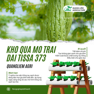 Hạt giống Khổ Qua Mỡ Trái Dài Rado 373 (2gram~10 hạt) chịu nhiệt tốt, trồng quanh năm, năng suất cao