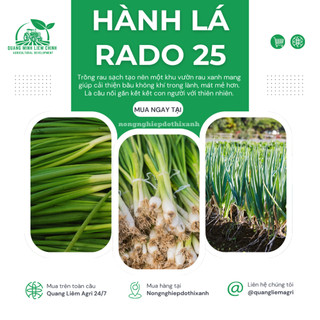 Hạt Giống Hành Lá RADO 25 (Gói 2,5g~700 Hạt) Rạng Đông, Cây Phát Triển Mạnh, Trồng Quanh Năm