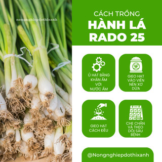 Hạt Giống Hành Lá RADO 25 (Gói 2,5g~700 Hạt) Rạng Đông, Cây Phát Triển Mạnh, Trồng Quanh Năm