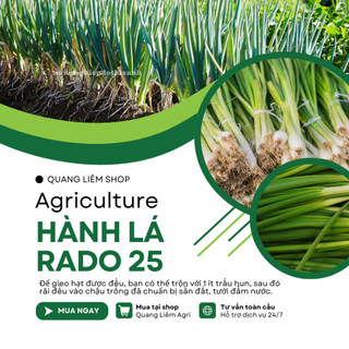 Hạt Giống Hành Lá RADO 25 (Gói 2,5g~700 Hạt) Rạng Đông, Cây Phát Triển Mạnh, Trồng Quanh Năm