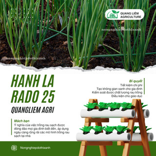 Hạt Giống Hành Lá RADO 25 (Gói 2,5g~700 Hạt) Rạng Đông, Cây Phát Triển Mạnh, Trồng Quanh Năm