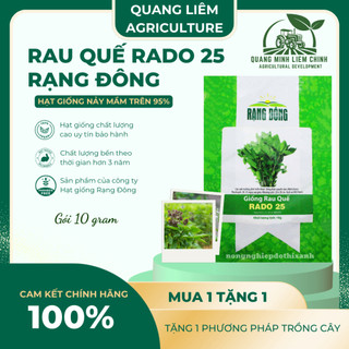 Hạt Giống Quế Lá To RADO 25 (Gói 10g~5000 Hạt) Rạng Đông, Thu Hoạch Nhiều Lần, Trồng Quanh Năm