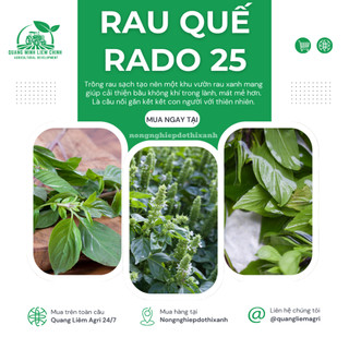 Hạt Giống Quế Lá To RADO 25 (Gói 10g~5000 Hạt) Rạng Đông, Thu Hoạch Nhiều Lần, Trồng Quanh Năm