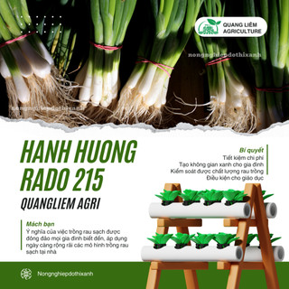 Hạt Giống Hành Hương Chịu Nhiệt RADO 215 (Gói 2g~600 Hạt) Rạng Đông Sinh Trưởng Mạnh Trồng Quanh Năm
