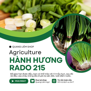 Hạt Giống Hành Hương Chịu Nhiệt RADO 215 (Gói 2g~600 Hạt) Rạng Đông Sinh Trưởng Mạnh Trồng Quanh Năm
