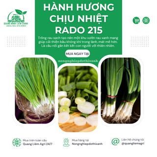 Hạt Giống Hành Hương Chịu Nhiệt RADO 215 (Gói 2g~600 Hạt) Rạng Đông Sinh Trưởng Mạnh Trồng Quanh Năm
