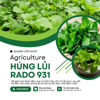 Hạt Giống Húng Lủi RADO 931 (Gói 0,2gram~700 Hạt) Rạng Đông, Thu Hoạch Nhiều Lần,Trồng Quanh Năm