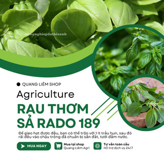 Hạt Giống Rau Thơm Sả (É Trắng) RADO 189 (Gói 5g~2000 Hạt) Rạng Đông, Sinh Trưởng Khỏe, Quanh Năm