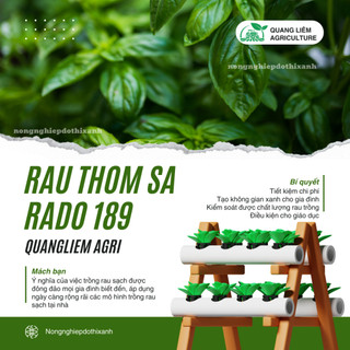 Hạt Giống Rau Thơm Sả (É Trắng) RADO 189 (Gói 5g~2000 Hạt) Rạng Đông, Sinh Trưởng Khỏe, Quanh Năm