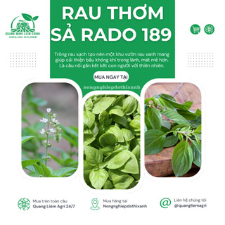 Hạt Giống Rau Thơm Sả (É Trắng) RADO 189 (Gói 5g~2000 Hạt) Rạng Đông, Sinh Trưởng Khỏe, Quanh Năm