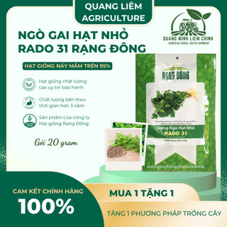 Hạt Giống Ngò Hạt Nhỏ RADO 31 (Gói 20g~3000 Hạt) Rạng Đông, Ngò Rí Dễ Chăm, Kháng Bệnh Tốt Quanh Năm
