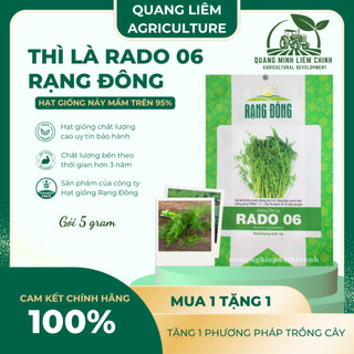Hạt Giống Thì Là RADO 06 (Gói 5g~2400 Hạt) Rạng Đông, Sinh Trưởng Mạnh Thu Hoạch Nhiều Lần Quanh Năm