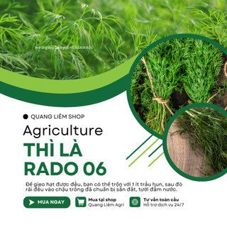 Hạt Giống Thì Là RADO 06 (Gói 5g~2400 Hạt) Rạng Đông, Sinh Trưởng Mạnh Thu Hoạch Nhiều Lần Quanh Năm