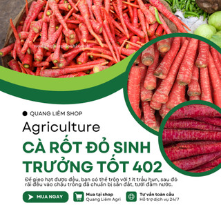Hạt giống Cà Rốt Đỏ Red Carot 402 (5gram~1200 hạt) dễ chăm sóc, trồng quanh năm, củ to, dài