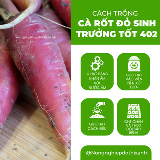 Hạt giống Cà Rốt Đỏ Red Carot 402 (5gram~1200 hạt) dễ chăm sóc, trồng quanh năm, củ to, dài