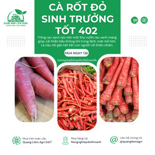 Hạt giống Cà Rốt Đỏ Red Carot 402 (5gram~1200 hạt) dễ chăm sóc, trồng quanh năm, củ to, dài