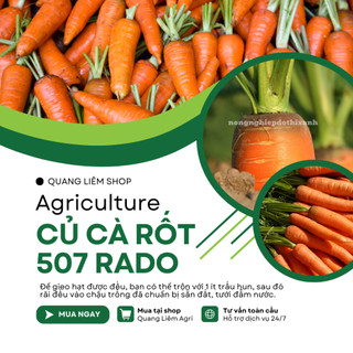Hạt Giống Cà Rốt RADO 507 (Gói 5gram~2800 Hạt) Rạng Đông, Củ To, Dài, Sinh Trưởng Khỏe
