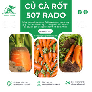 Hạt Giống Cà Rốt RADO 507 (Gói 5gram~2800 Hạt) Rạng Đông, Củ To, Dài, Sinh Trưởng Khỏe