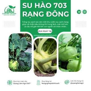 Hạt Giống Su Hào Rado 703 (Gói 5g ~700 Hạt) Rạng Đông, Chịu Nhiệt Tốt, Củ To Tròn, Ngọt