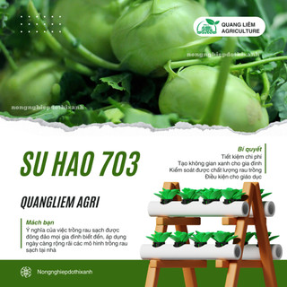 Hạt Giống Su Hào Rado 703 (Gói 5g ~700 Hạt) Rạng Đông, Chịu Nhiệt Tốt, Củ To Tròn, Ngọt