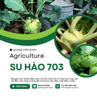 Hạt Giống Su Hào Rado 703 (Gói 5g ~700 Hạt) Rạng Đông, Chịu Nhiệt Tốt, Củ To Tròn, Ngọt