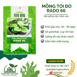Hạt giống Mồng Tơi Đỏ Rado 66 (1gram~40 hạt) dễ trồng, ít sâu bệnh, chịu nhiệt tốt, trồng quanh năm