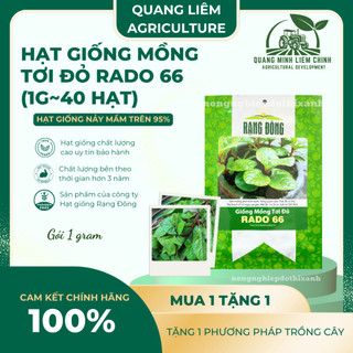 Hạt giống Mồng Tơi Đỏ Rado 66 (1gram~40 hạt) dễ trồng, ít sâu bệnh, chịu nhiệt tốt, trồng quanh năm