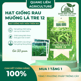 Hạt giống Rau Muống Lá Tre Rado 12 (50gram~1200 hạt) dễ trồng, năng suất cao, trồng quanh năm