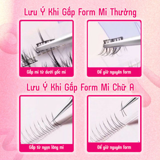 Mi giả tách sợi  tự nhiên LASHES SUPPLY - Mi tự nối - Mi gân - Mi lụa - Mi Chùm tự nối - siêu mảnh