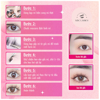 Mi giả tách sợi  tự nhiên LASHES SUPPLY - Mi tự nối - Mi gân - Mi lụa - Mi Chùm tự nối - siêu mảnh