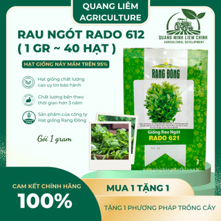 Hạt giống Rau Ngót Rado 621 (1gram~40 hạt) Rau Bồ Ngót trồng quanh năm, sinh trưởng khỏe