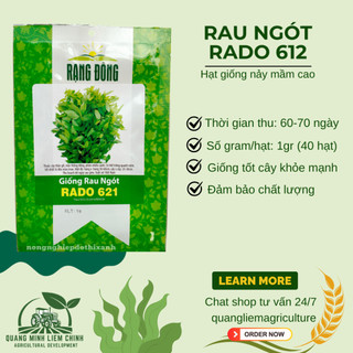 Hạt giống Rau Ngót Rado 621 (1gram~40 hạt) Rau Bồ Ngót trồng quanh năm, sinh trưởng khỏe