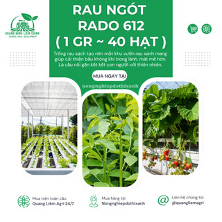Hạt giống Rau Ngót Rado 621 (1gram~40 hạt) Rau Bồ Ngót trồng quanh năm, sinh trưởng khỏe