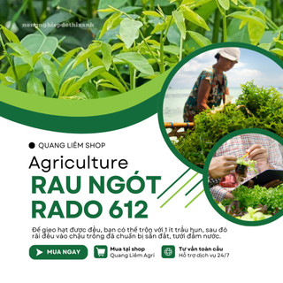 Hạt giống Rau Ngót Rado 621 (1gram~40 hạt) Rau Bồ Ngót trồng quanh năm, sinh trưởng khỏe