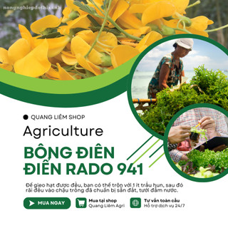 Hạt giống Bông Điên Điển Rado 941 (1gram~50 hạt) tuổi thọ 5-10 năm, sinh trưởng khỏe, dễ chăm sóc