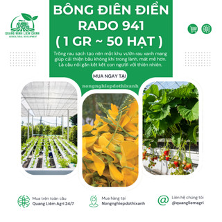 Hạt giống Bông Điên Điển Rado 941 (1gram~50 hạt) tuổi thọ 5-10 năm, sinh trưởng khỏe, dễ chăm sóc