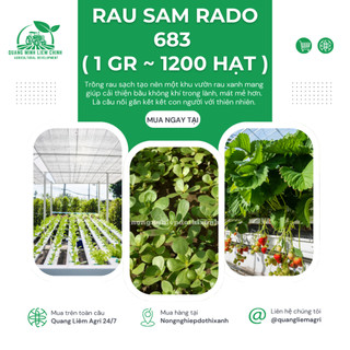Hạt giống Rau Sam Rado 683 (1gram~1200 hạt) nảy mầm tốt, trồng quanh năm, sinh trưởng khỏe