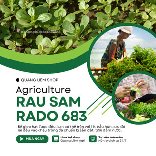 Hạt giống Rau Sam Rado 683 (1gram~1200 hạt) nảy mầm tốt, trồng quanh năm, sinh trưởng khỏe
