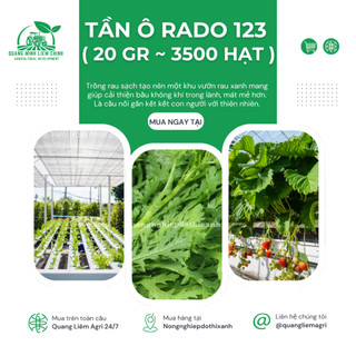 Hạt giống Tần Ô Rado 123 (20gram~3500 hạt) - Rau Cúc Tẻ nảy mầm tốt, ít sâu bệnh, trồng quanh năm