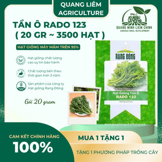 Hạt giống Tần Ô Rado 123 (20gram~3500 hạt) - Rau Cúc Tẻ nảy mầm tốt, ít sâu bệnh, trồng quanh năm