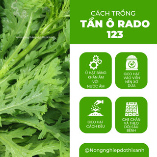 Hạt giống Tần Ô Rado 123 (20gram~3500 hạt) - Rau Cúc Tẻ nảy mầm tốt, ít sâu bệnh, trồng quanh năm