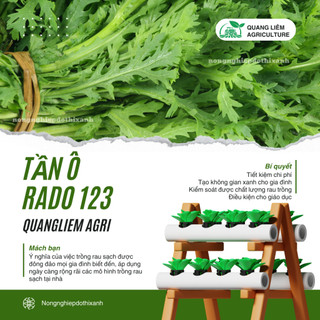 Hạt giống Tần Ô Rado 123 (20gram~3500 hạt) - Rau Cúc Tẻ nảy mầm tốt, ít sâu bệnh, trồng quanh năm