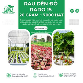 Hạt giống Rau Dền Đỏ Rado 15 (20gram~7000 hạt) sinh trưởng khỏe, nhanh thu hoạch, trồng quanh năm