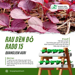 Hạt giống Rau Dền Đỏ Rado 15 (20gram~7000 hạt) sinh trưởng khỏe, nhanh thu hoạch, trồng quanh năm