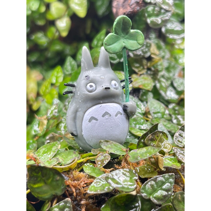 mô hình toroto decor terrarium | Shopee Việt Nam