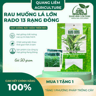Hạt giống Rau Muống Lá Lớn Rado 13 (50gram~1200 hạt) nảy mầm tốt, kháng sâu bệnh, trồng quanh năm