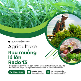 Hạt giống Rau Muống Lá Lớn Rado 13 (50gram~1200 hạt) nảy mầm tốt, kháng sâu bệnh, trồng quanh năm