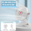 Quạt mini để bàn PLSHARK tích điện 5 mức độ gió 3 mức độ đèn pin 5000 MHA Và 10000 MHA