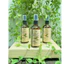 Bình Xịt Thơm Phòng Tinh Dầu Thư Giãn , Đuổi Muỗi , Côn Trùng, Xịt Xe, Xịt Phòng, Xịt Tủ Quần Áo, Xịt Chăn Ga Gối Nệm