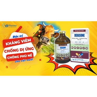 Thuốc thú y DEXASONE chai 100ml VB Pharma chống dị ứng giảm viêm cho vật nuôi chó mèo gia súc giacầm
